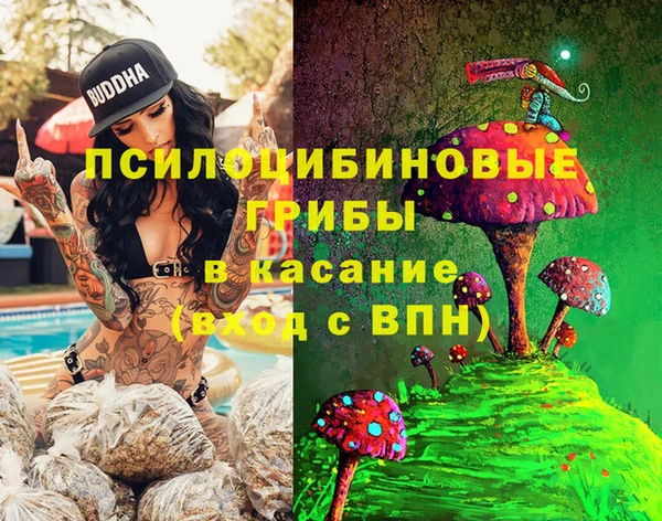 кокаин перу Дмитриев
