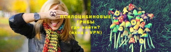 кокаин перу Дмитриев