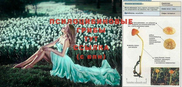 гашиш Дмитров