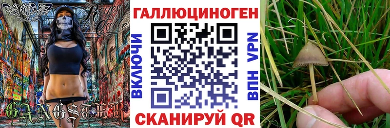 Псилоцибиновые грибы ЛСД  Грязовец 